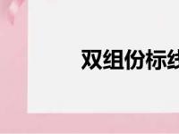 双组份标线涂料（标线涂料）