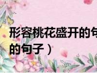 形容桃花盛开的句子唯美短句（形容桃花盛开的句子）