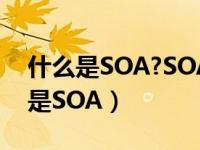 什么是SOA?SOA的设计原则有哪些?（什么是SOA）