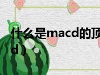 什么是macd的顶背离和底背离（什么是macd）