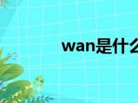 wan是什么网（wan是什么）