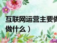 互联网运营主要做什么学历（互联网运营主要做什么）