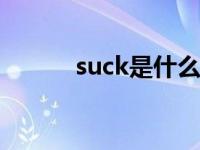 suck是什么意思 翻译（sucks）