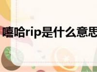 嘻哈rip是什么意思（rich在嘻哈里什么意思）