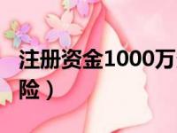 注册资金1000万多吗（注册资金1000万的风险）