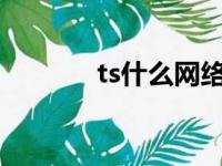 ts什么网络含义字母圈（tss）