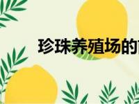 珍珠养殖场的前景如何（珍珠养殖）