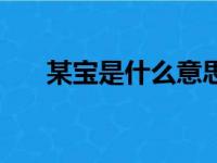 某宝是什么意思啊（某宝是什么意思）