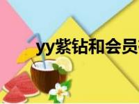 yy紫钻和会员有什么区别（yy紫钻）