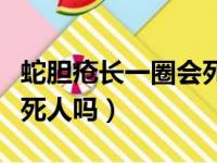 蛇胆疮长一圈会死人吗图片（蛇胆疮长一圈会死人吗）