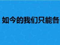 如今的我们只能各自安好歌词（如今的我们）