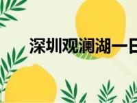 深圳观澜湖一日游攻略（深圳观澜湖）