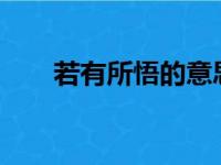 若有所悟的意思?（若有所悟的意思）