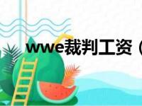 wwe裁判工资（wwe中国裁判打选手）