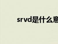 srvd是什么意思（srv是什么意思）