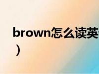 brown怎么读英语语音（brown怎么读英语）