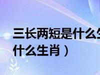 三长两短是什么生肖正确答案?（三长两短是什么生肖）