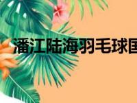 潘江陆海羽毛球国家队运动员（潘江陆海）