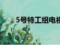 5号特工组电视剧全集（5号特工组）