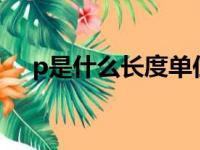 p是什么长度单位（长度px是什么意思）