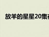 放羊的星星20集在线观看（放羊的星星2）