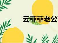 云菲菲老公百科（云菲菲老公）