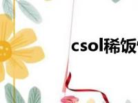 csol稀饭怀旧（csol稀饭）