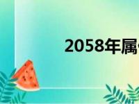 2058年属什么生肖（2058）