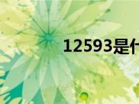 12593是什么电话（12593）