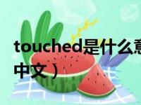 touched是什么意思中文（touch是什么意思中文）