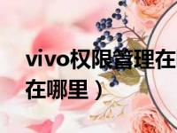 vivo权限管理在哪里找出来（vivo权限管理在哪里）