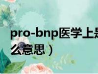 pro-bnp医学上是什么意思（pro一bnp是什么意思）