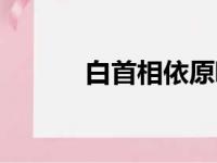 白首相依原唱（白首相依歌词）