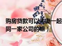 购房贷款可以夫妻一起作为借款人（房贷夫妻二人不可以是同一家公司的嘛）