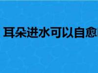 耳朵进水可以自愈吗（耳朵进水能自动好吗）