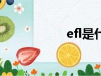 efl是什么软件（efl）