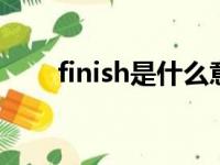 finish是什么意思（ins是什么意思）