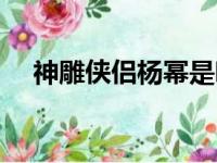 神雕侠侣杨幂是哪一版（神雕侠侣杨幂）