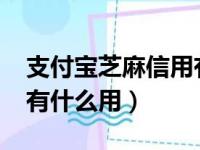 支付宝芝麻信用有什么用?（支付宝芝麻信用有什么用）