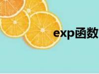 exp函数（exp什么意思）