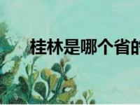 桂林是哪个省的景区（桂林是哪个省）