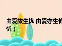 由爱故生忧 由爱亦生怖 若离于爱者 无忧亦无怖（由爱故生忧）