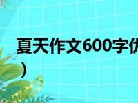 夏天作文600字优秀作文（夏天作文600字数）