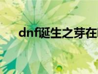 dnf诞生之芽在哪里刷（dnf诞生之芽）