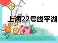 上海22号线平湖多久完工（上海22号线）