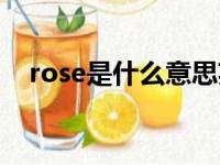 rose是什么意思英语（rose是什么意思）