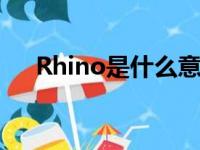 Rhino是什么意思（rhino是什么意思）