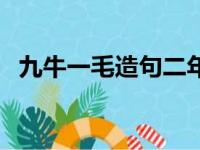 九牛一毛造句二年级下册（九牛一毛造句）