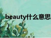 beauty什么意思中文翻译（beauty什么意思）