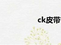 ck皮带官网（ck皮带）